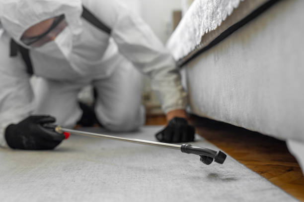 Professional Termite Control technician working in Sleepy Hollow, CA