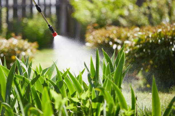 24/7 Emergency Termite Control experts in Sleepy Hollow, CA